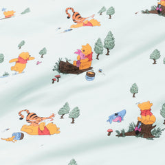 Footie in Winnie the Pooh Hundred Acre Wood